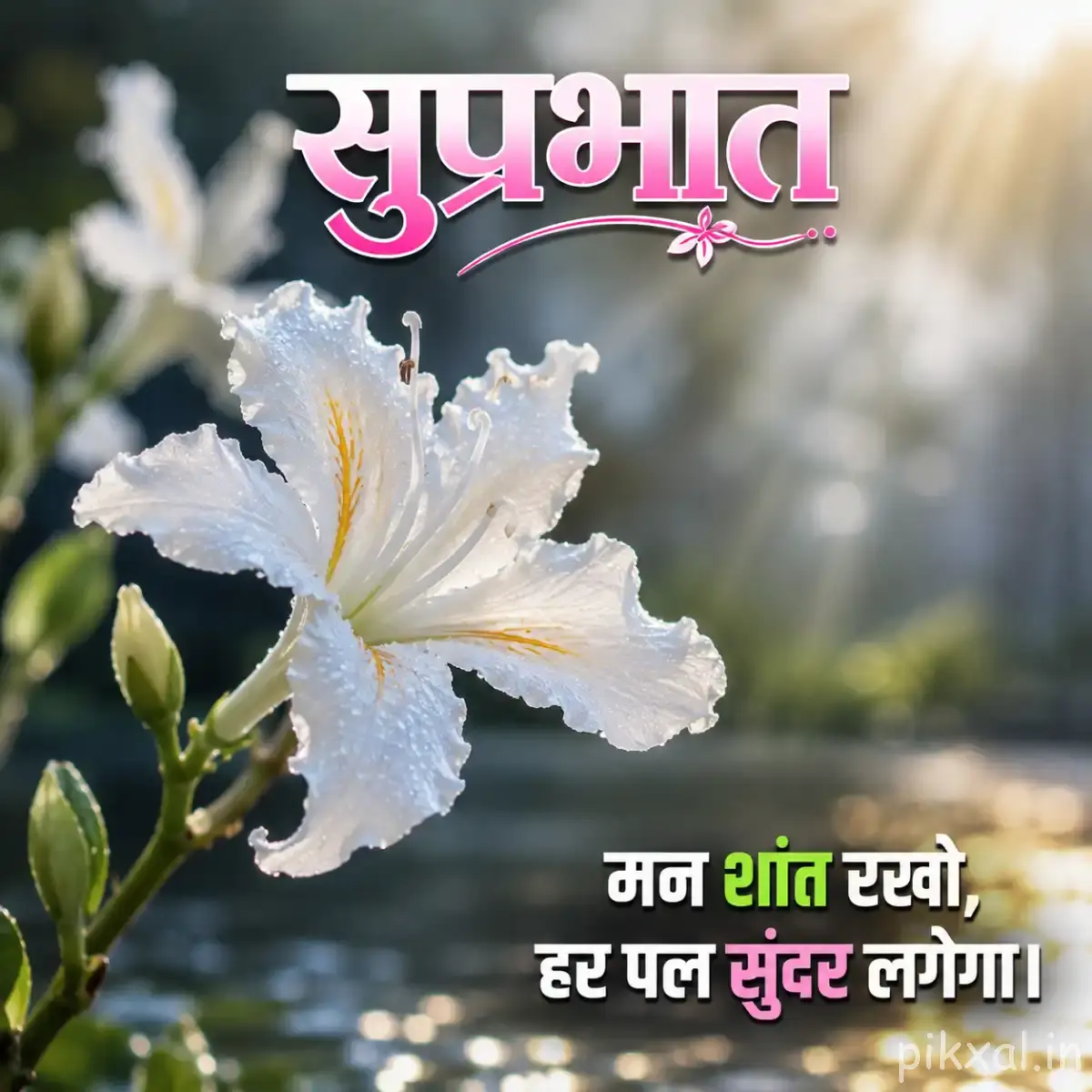 White fringed flower with green buds and a Hindi Good Morning wish
