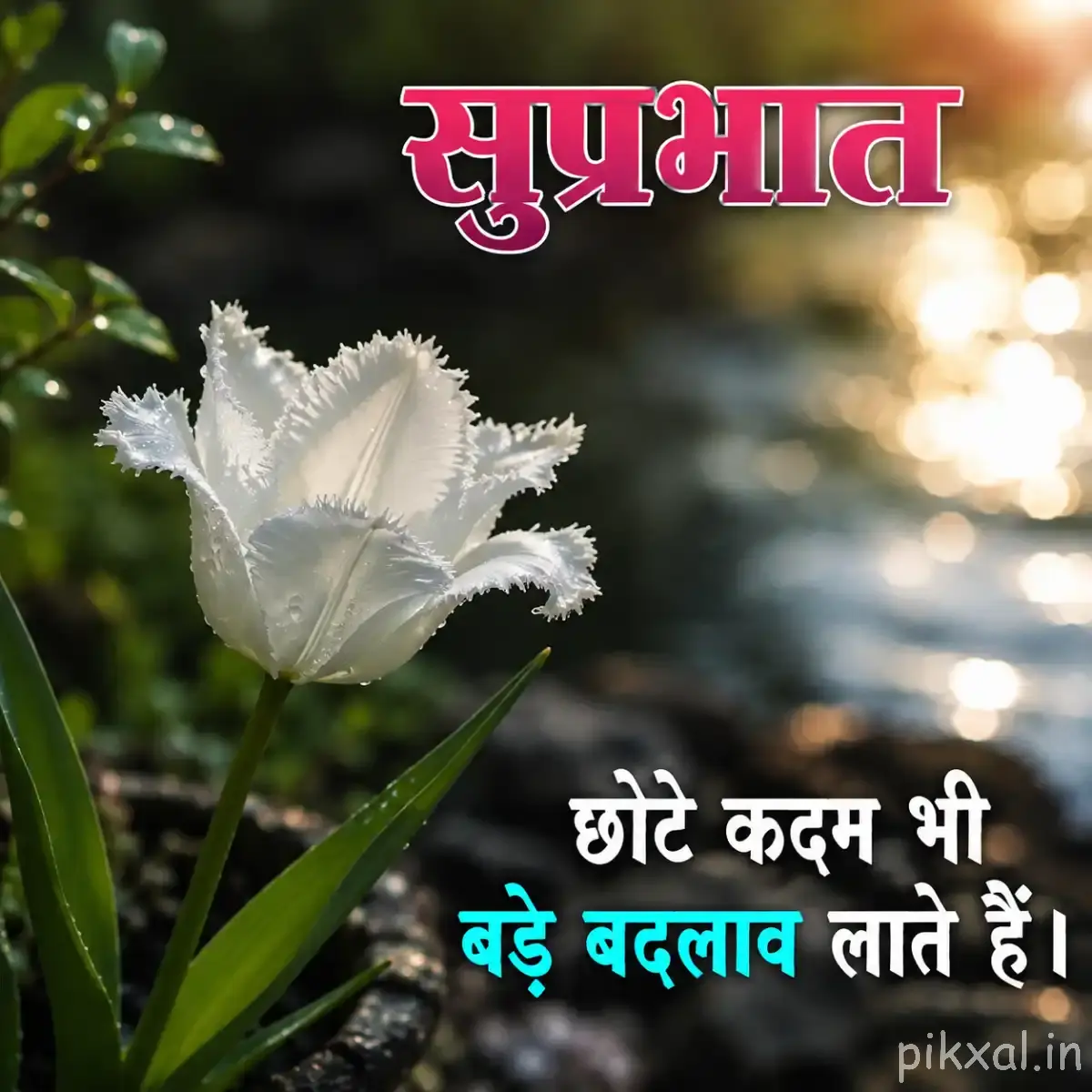 White fringed flower with green buds and a Hindi Good Morning quote