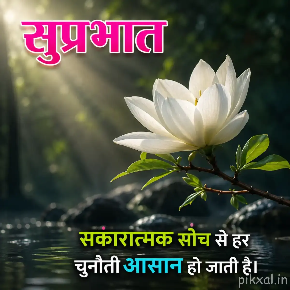 White flower above water with a Hindi Good Morning message