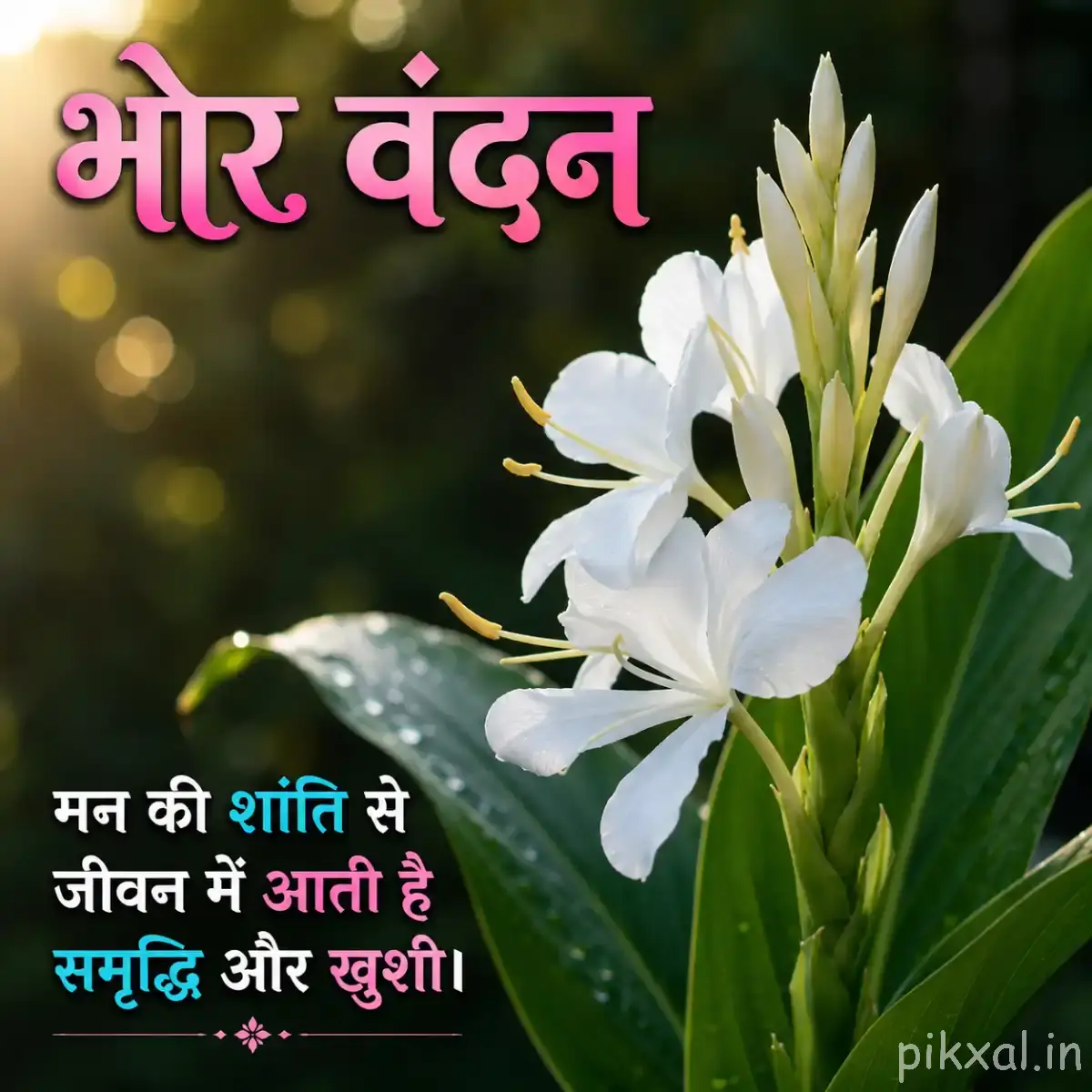 White flowers with green leaves and a Hindi morning quote
