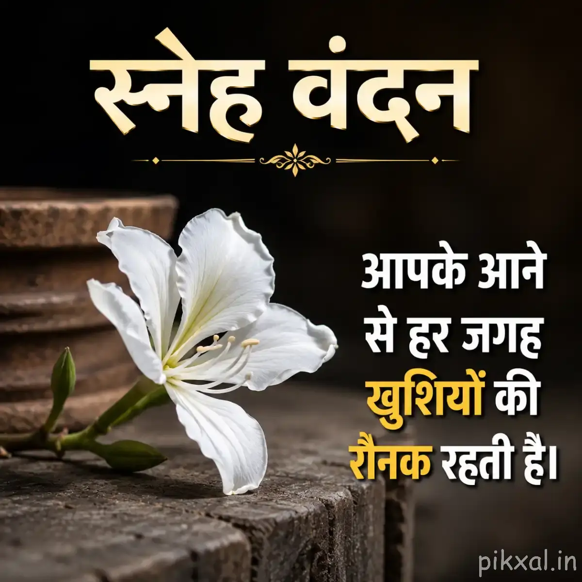 White fringed flower on a branch with a Hindi morning message