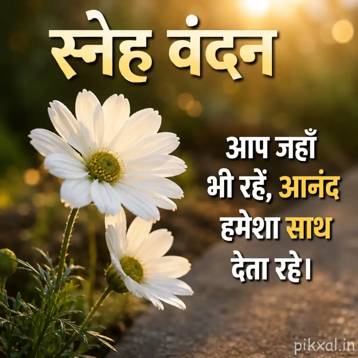 White daisy flowers with yellow centers and a Hindi morning wish
