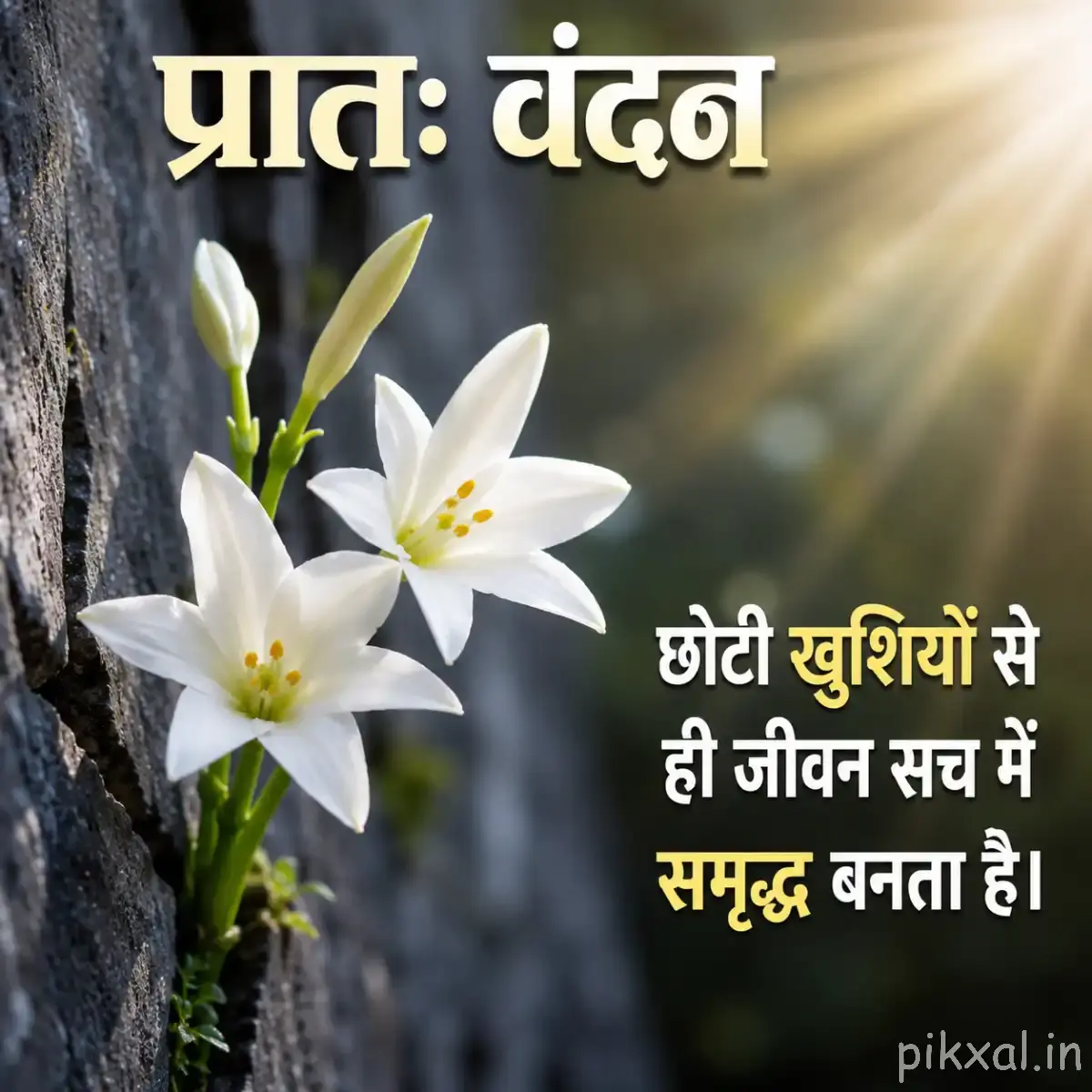 White lily-like flower with yellow stamens and a Hindi morning message