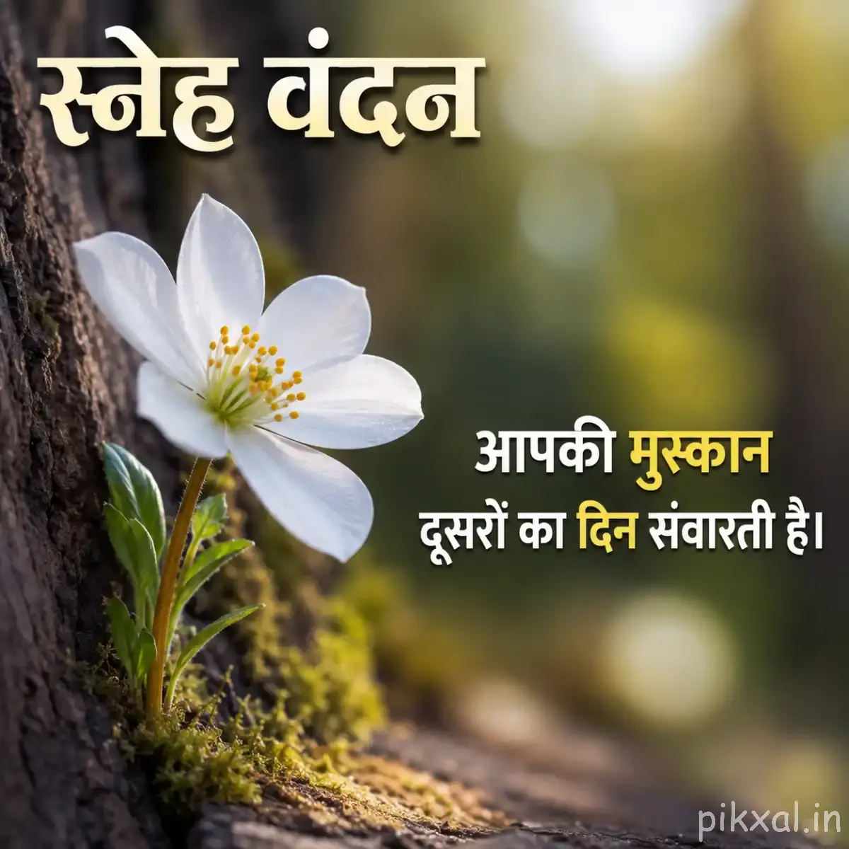 White flower with yellow stamens and a Hindi morning quote
