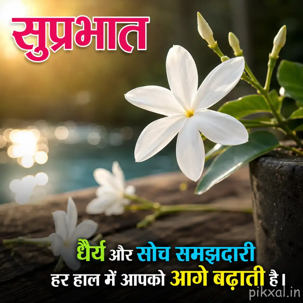 White Plumeria flowers with green leaves and a Hindi Good Morning wish