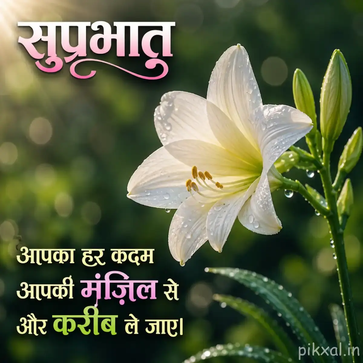 White lily-like flower with green buds and a Hindi morning quote