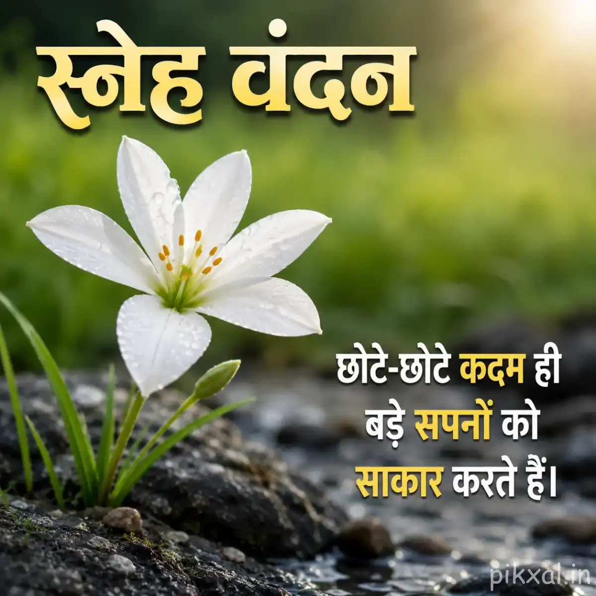 White flower with narrow petals and green leaves with a Hindi morning wish