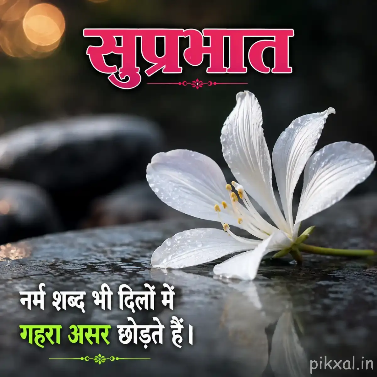 White flower with long stamens and a Hindi Good Morning quote