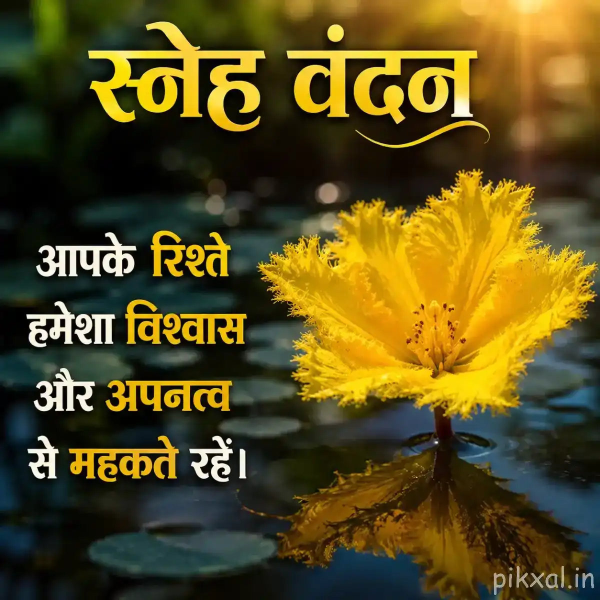 Single fuzzy yellow flower with a blue water background and a Hindi morning message