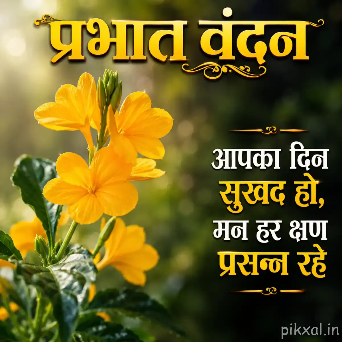 Multiple yellow flowers along an upright leafy stem with a Hindi morning wish