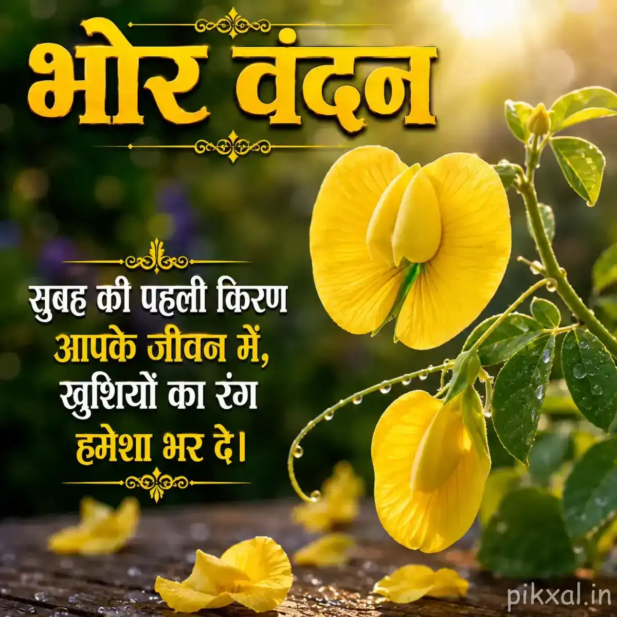 Yellow flowers with green leaves growing among grass and foliage with a Hindi morning greeting
