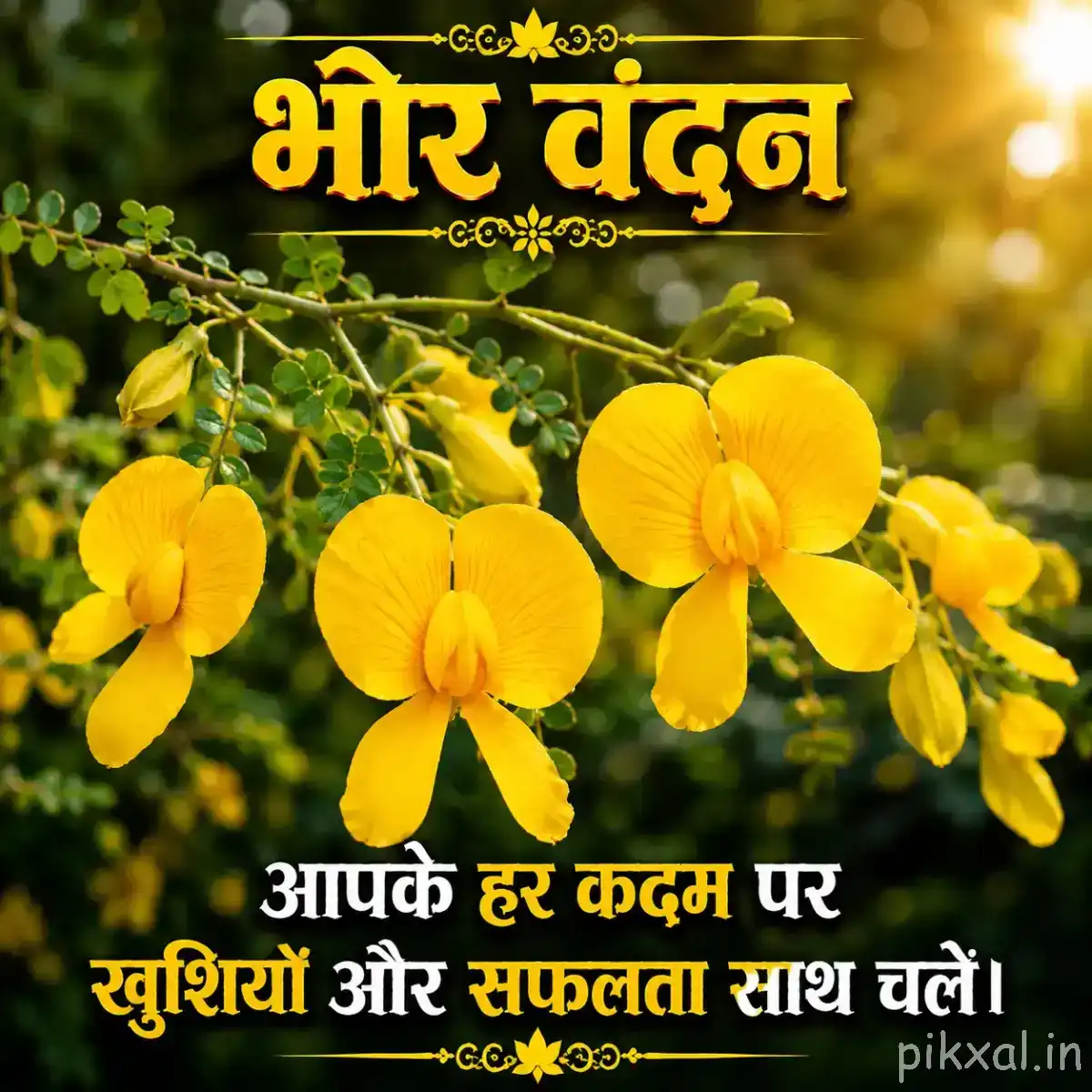 Several yellow flowers on curved leafy stems with warm sunlight filtering through the background