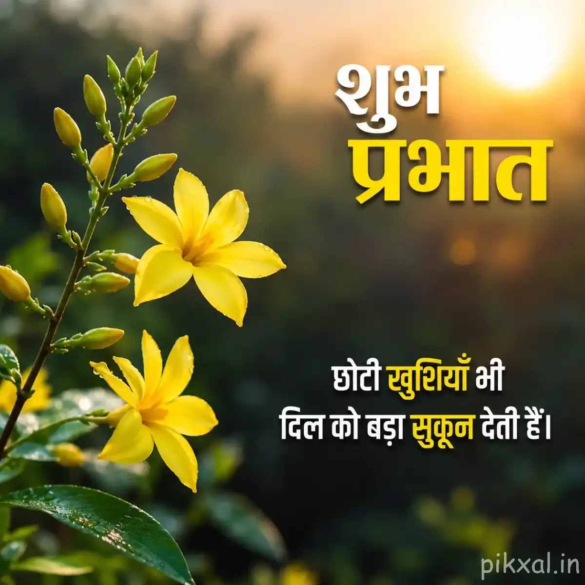 Two star-shaped yellow flowers and buds on a branch with morning quotes