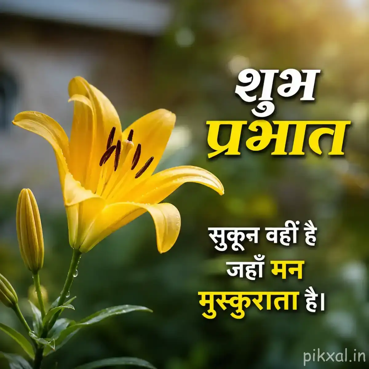 Open yellow trumpet-shaped flower with dark markings on an upright green stem and a Hindi morning wish