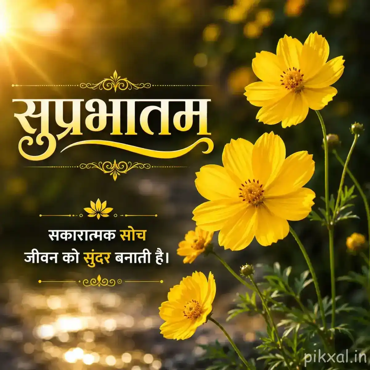 Multiple yellow flowers with dark centers growing among green foliage beside softly blurred water and a Hindi Good Morning greeting