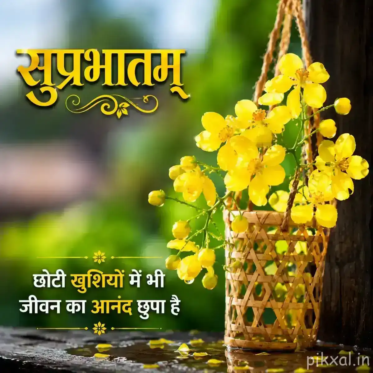 Hanging cluster of small yellow flowers with green foliage beside a woven surface and a Hindi Good Morning message
