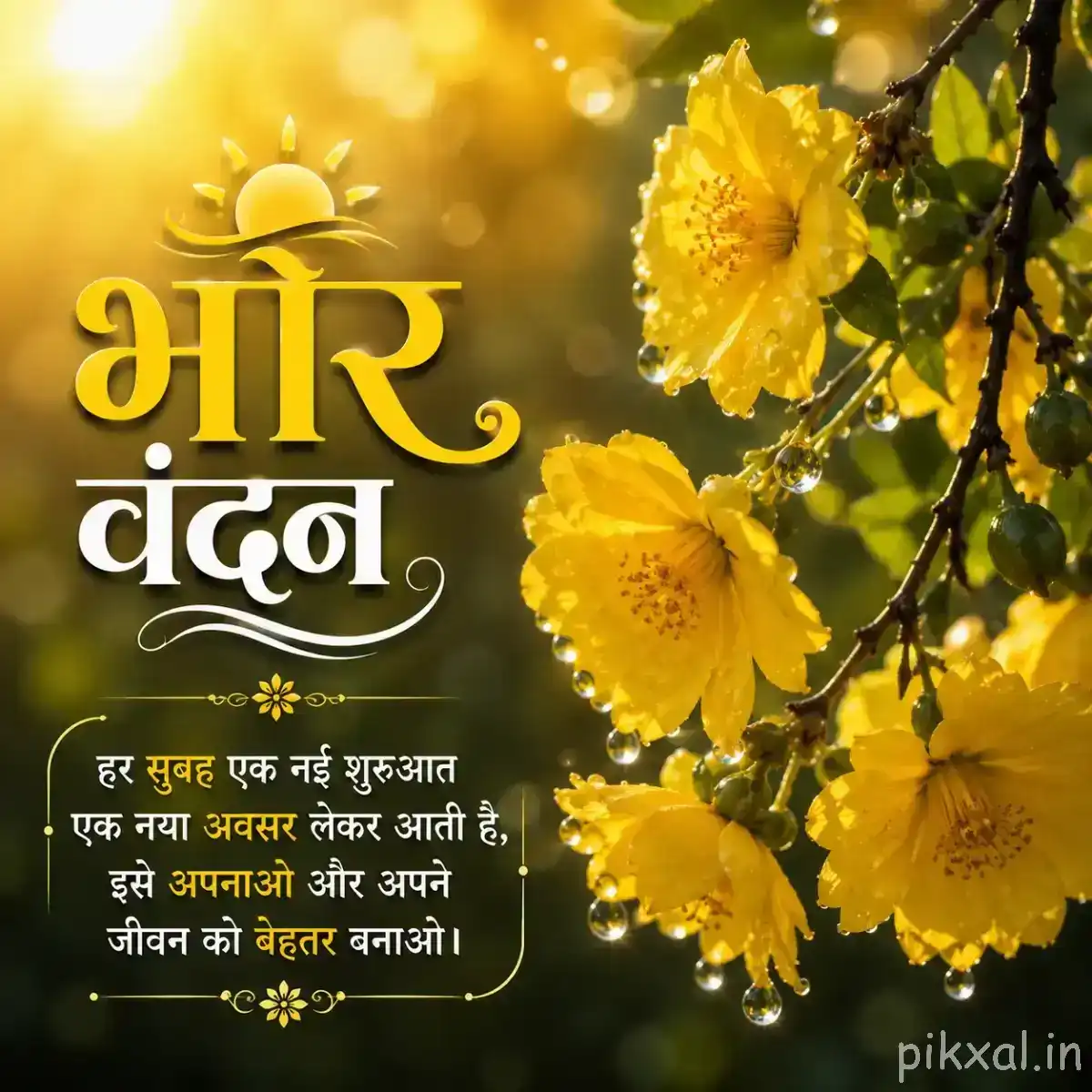 Cluster of yellow flowers with green foliage and unopened buds against a dark blurred background with a Hindi morning wish