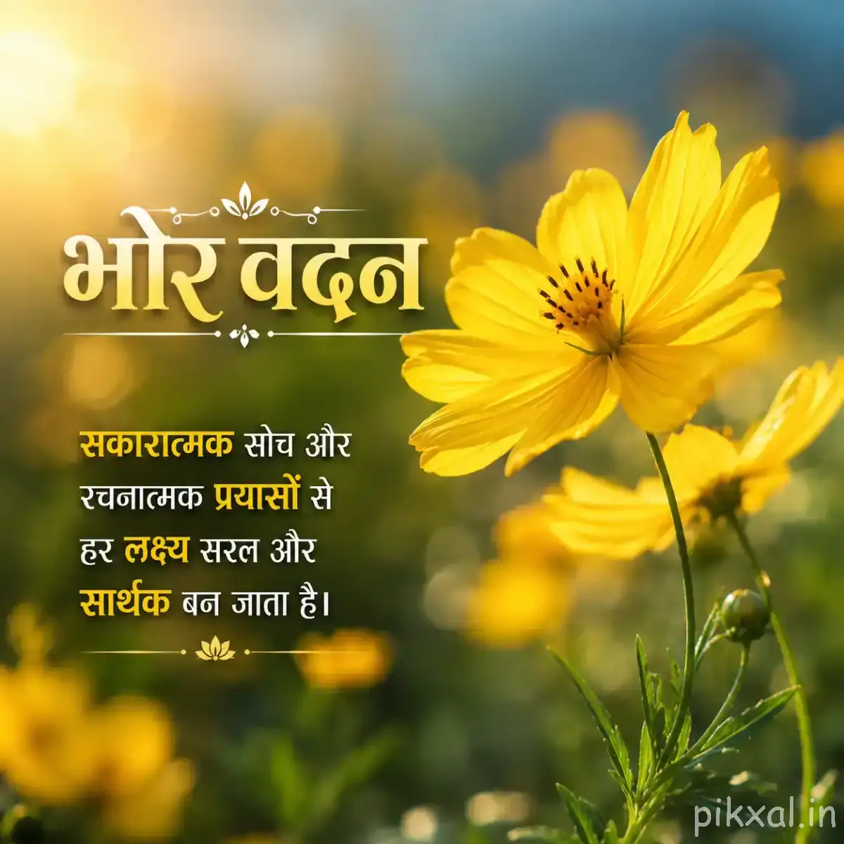 Several yellow flowers with dark centers on slender stems against a softly blurred green background