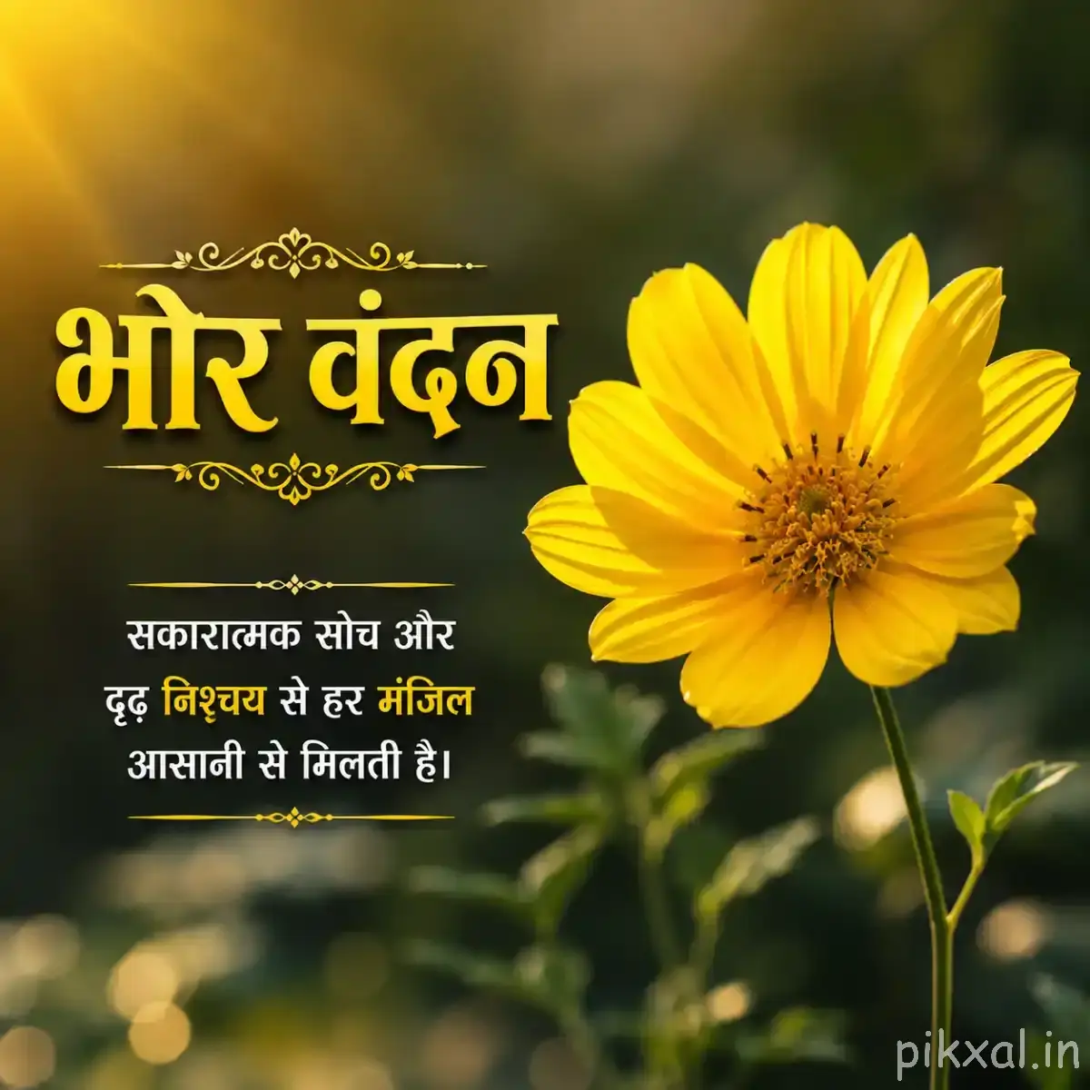 Single large yellow flower with a dark center and green leaves against a softly blurred garden background