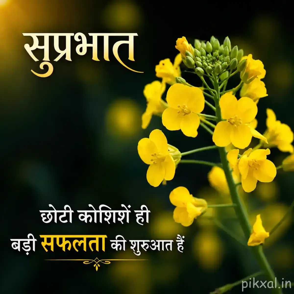 Small cluster of yellow flowers and buds on a leafy branch with a Hindi Good Morning wish