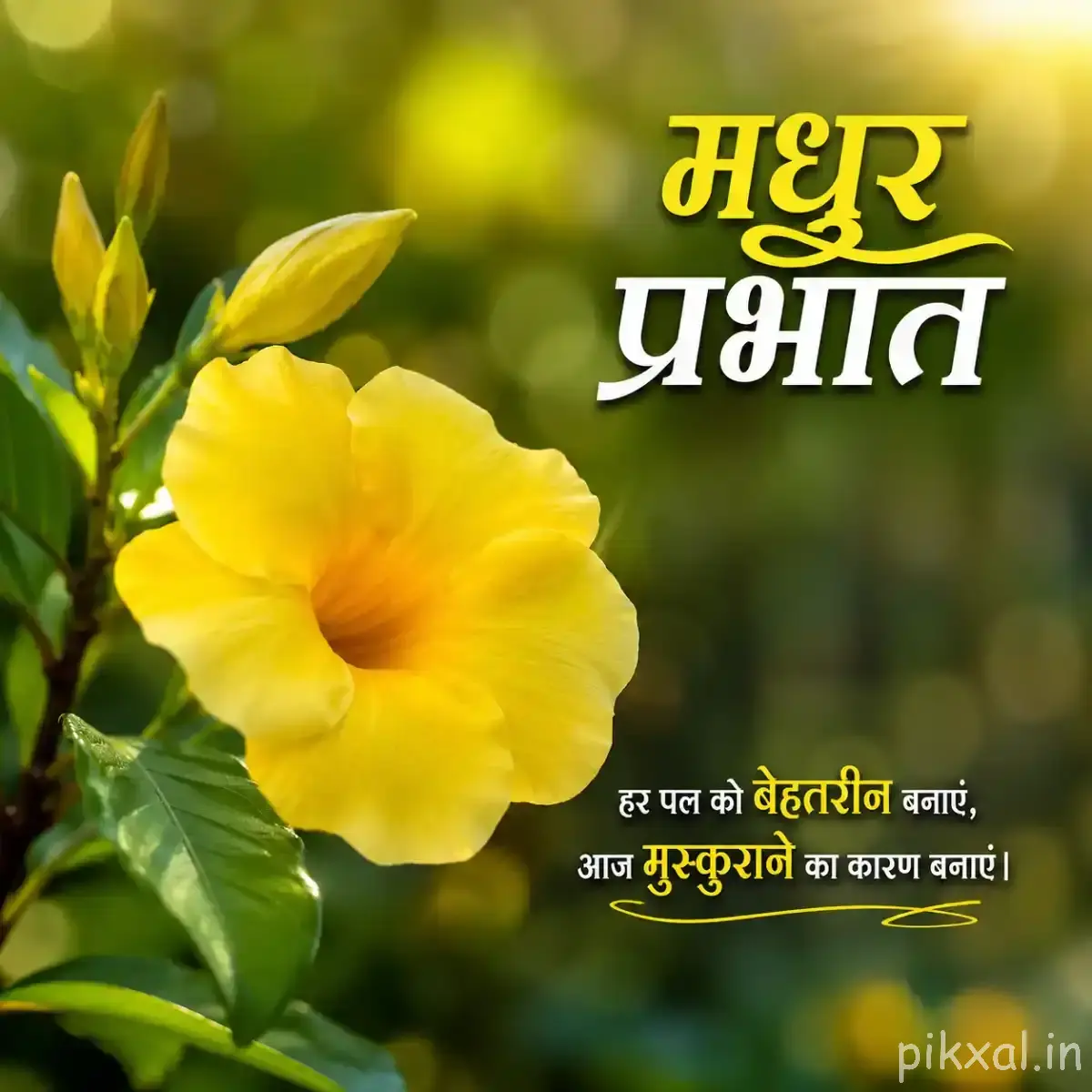 Single yellow cup-shaped flower with green leaves against a softly blurred garden background with a Hindi morning wish