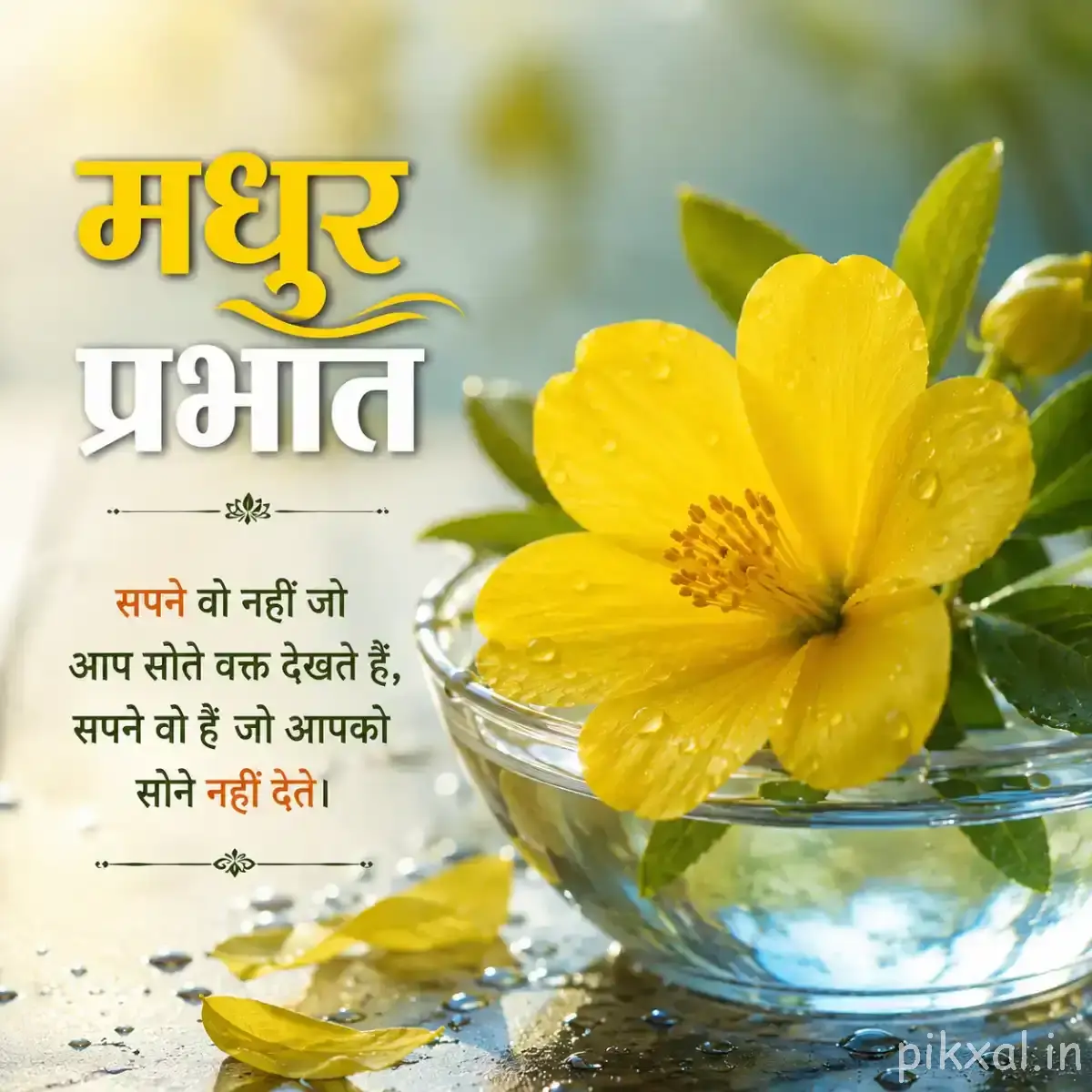 Single yellow flower with broad petals and a dark center beside green leaves against a softly blurred water background