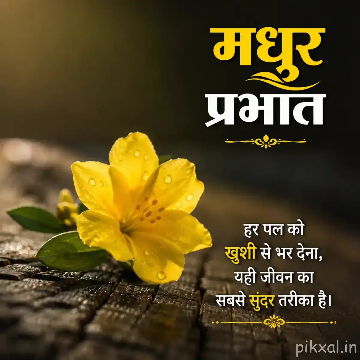 Single yellow flower with rounded petals and water droplets resting on a wooden surface with a Hindi morning wish