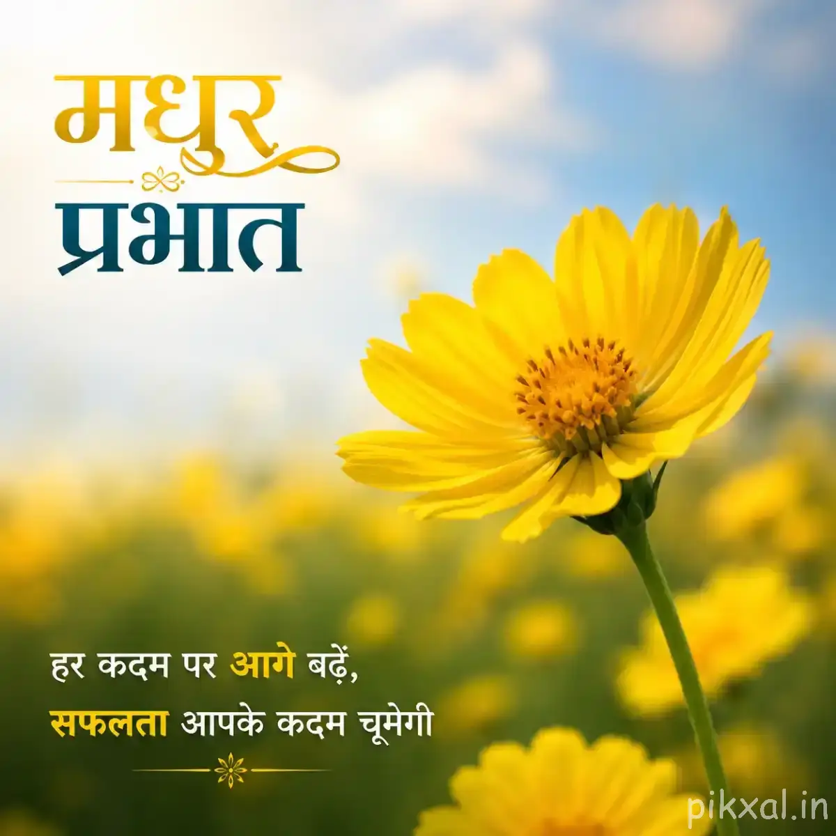 Yellow flower with many narrow petals reflected in water, with a Hindi morning wish and soft blue sky background
