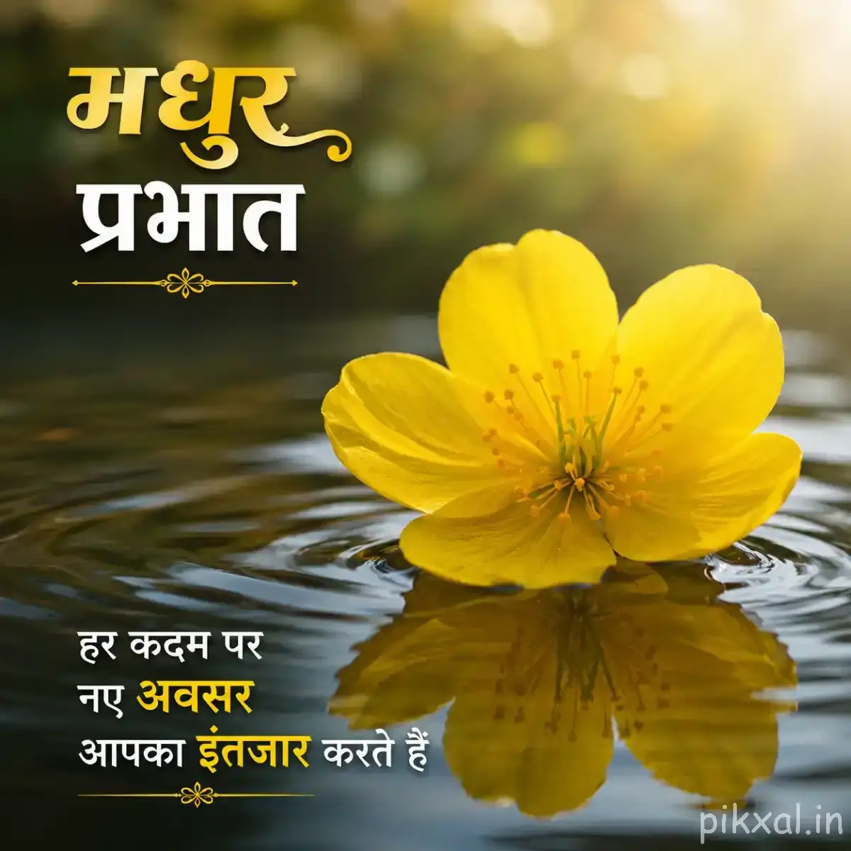 Single yellow flower with broad petals reflected in calm water with a Hindi morning wish