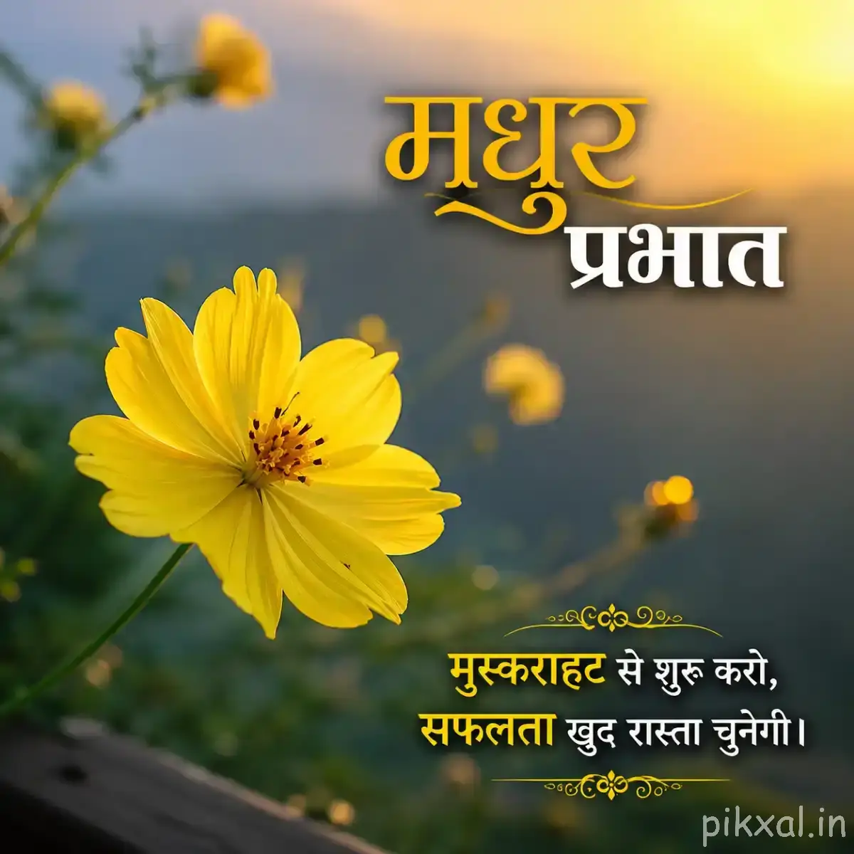 Single yellow flower with a dark center on a slender stem, with small blurred flowers behind it