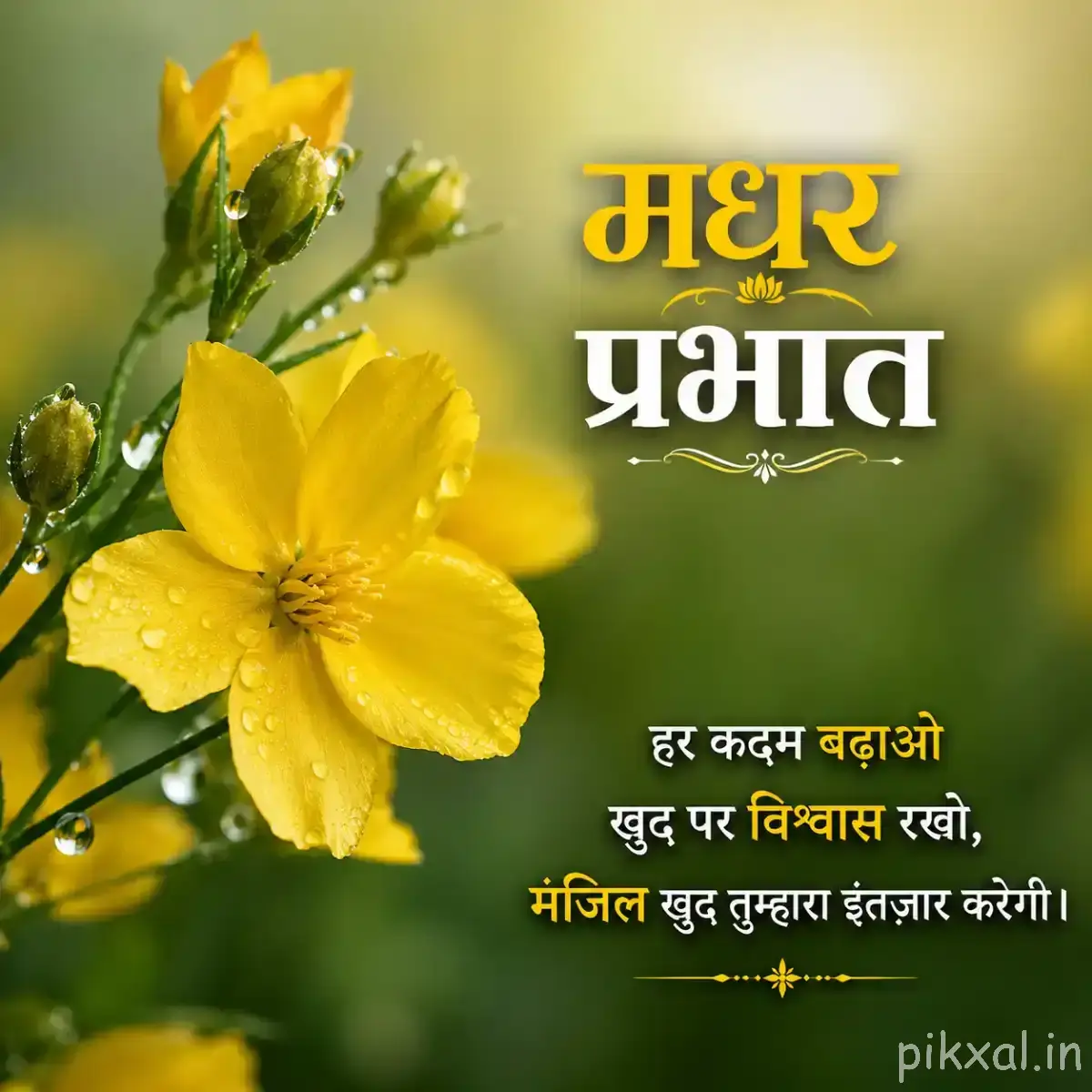 Open yellow flower with broad petals and unopened buds on a leafy stem with a Hindi morning wish