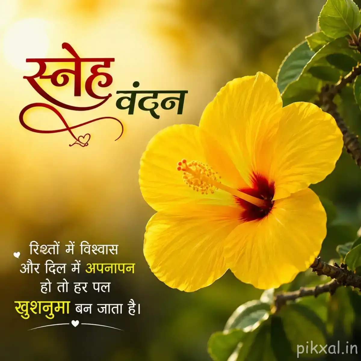 Large yellow flower with broad petals and a dark reddish center against a warm blurred background