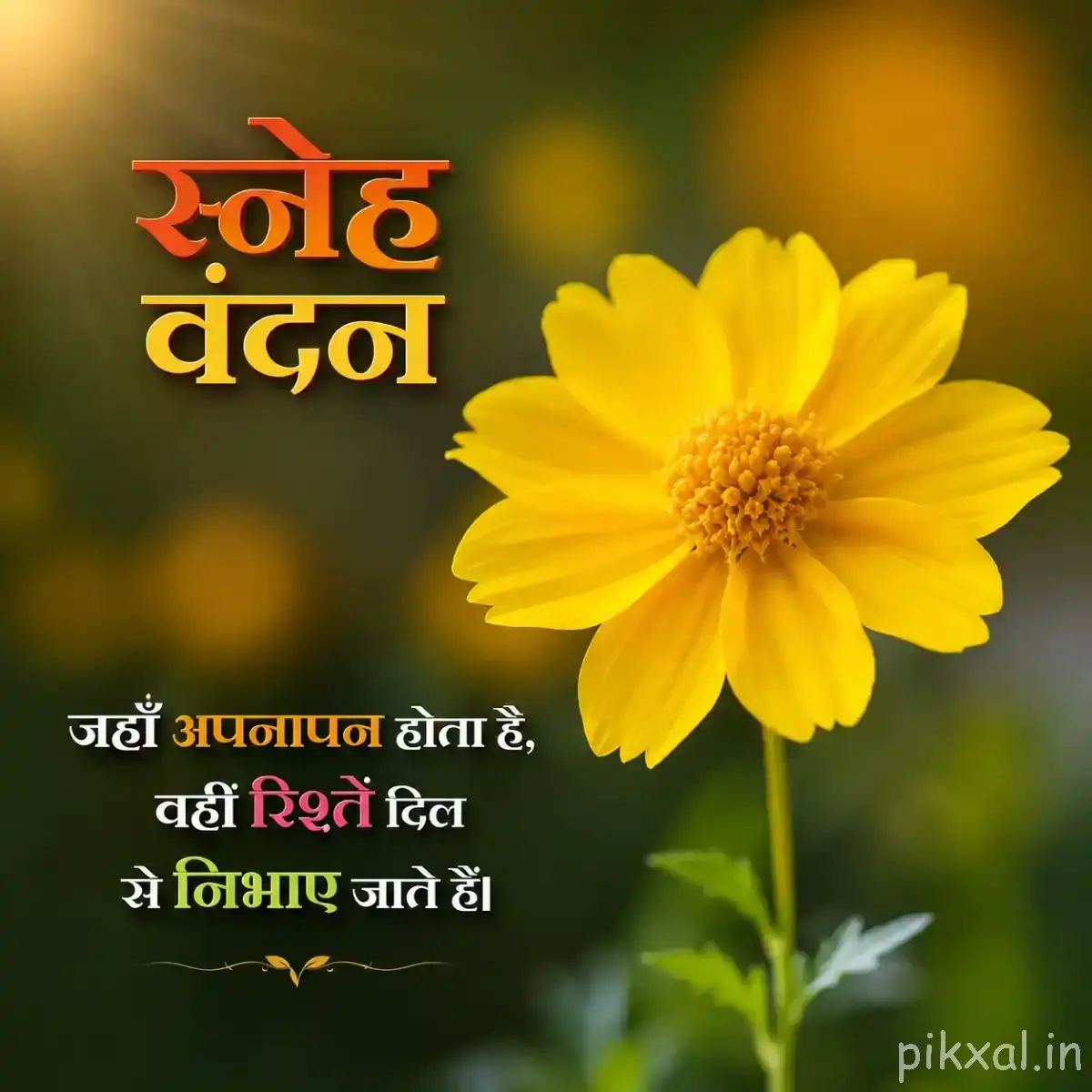 Single yellow flower with many rounded petals and a dark center against softly blurred green foliage