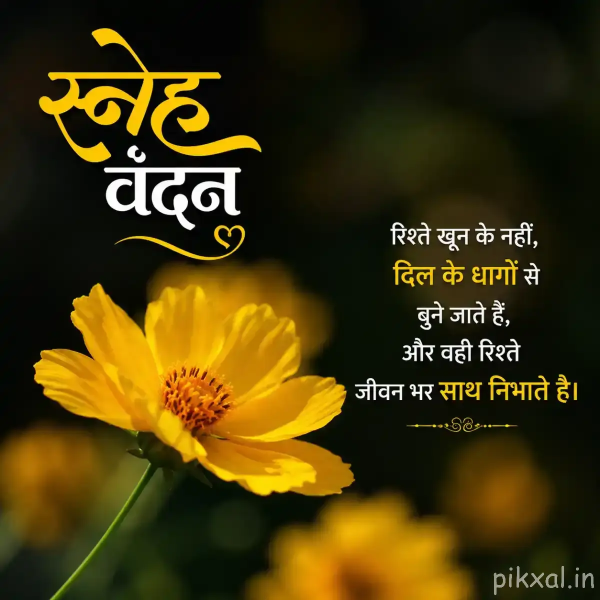Single yellow flower with an orange center and softly blurred green foliage in the background