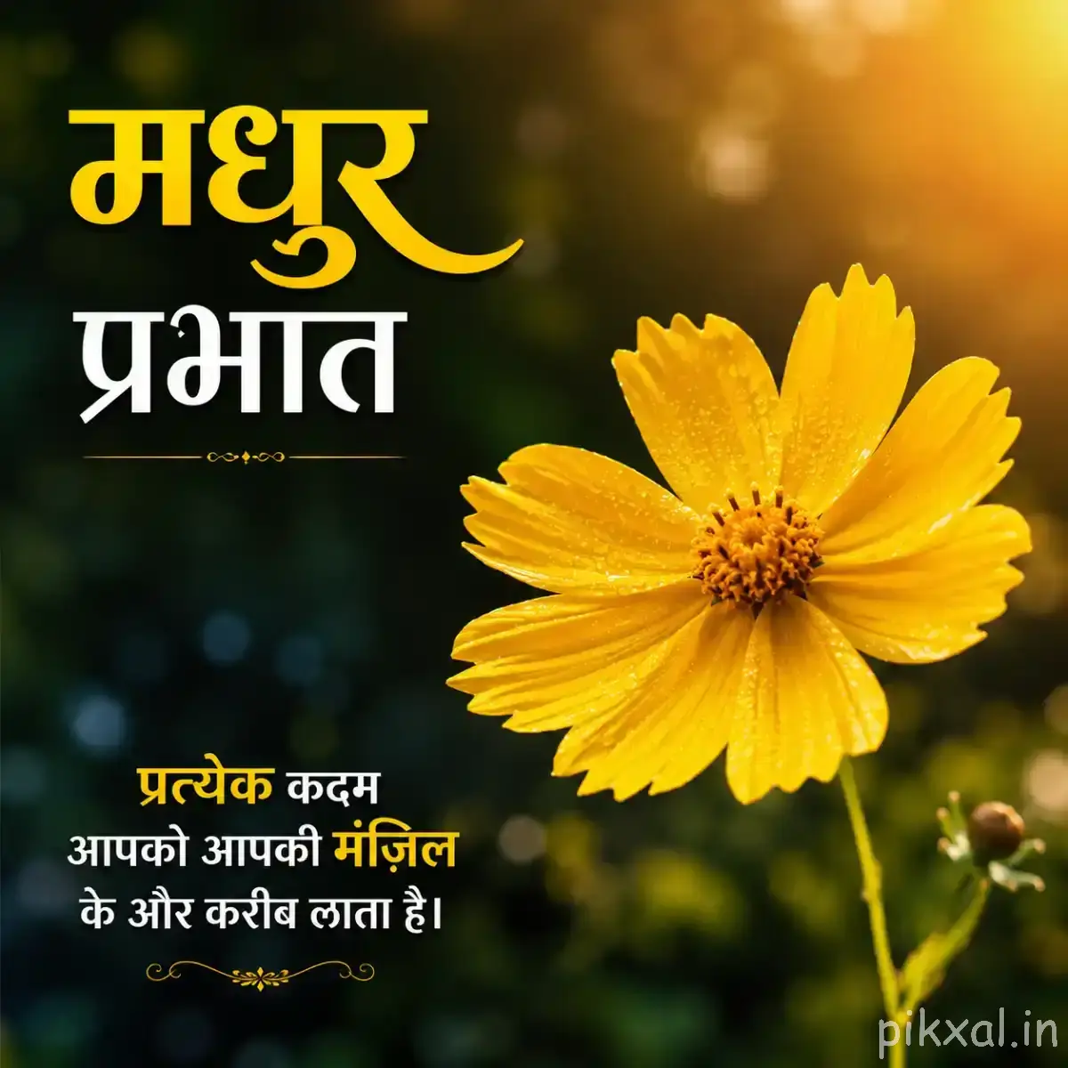 Single yellow flower with many narrow overlapping petals and a dark center against a softly blurred background