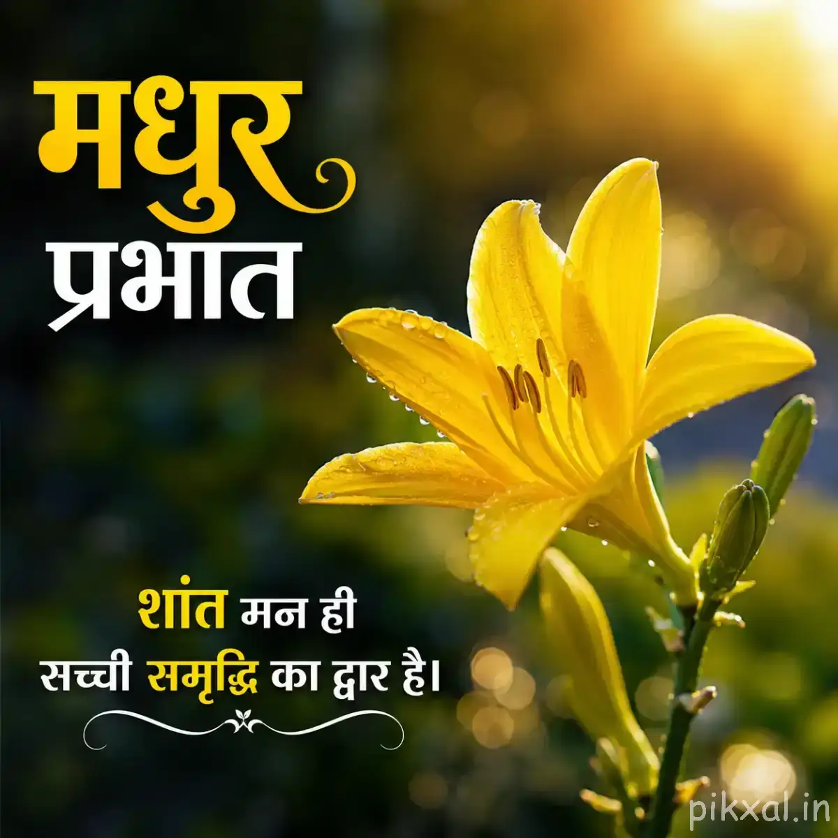 Yellow flower with elongated petals and unopened buds on a green stem with a Hindi morning wish