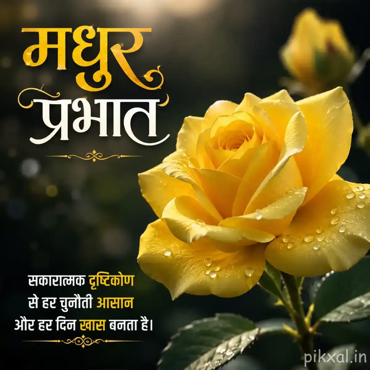 Layered yellow flower with overlapping petals and unopened buds among green leaves with a Hindi morning greeting