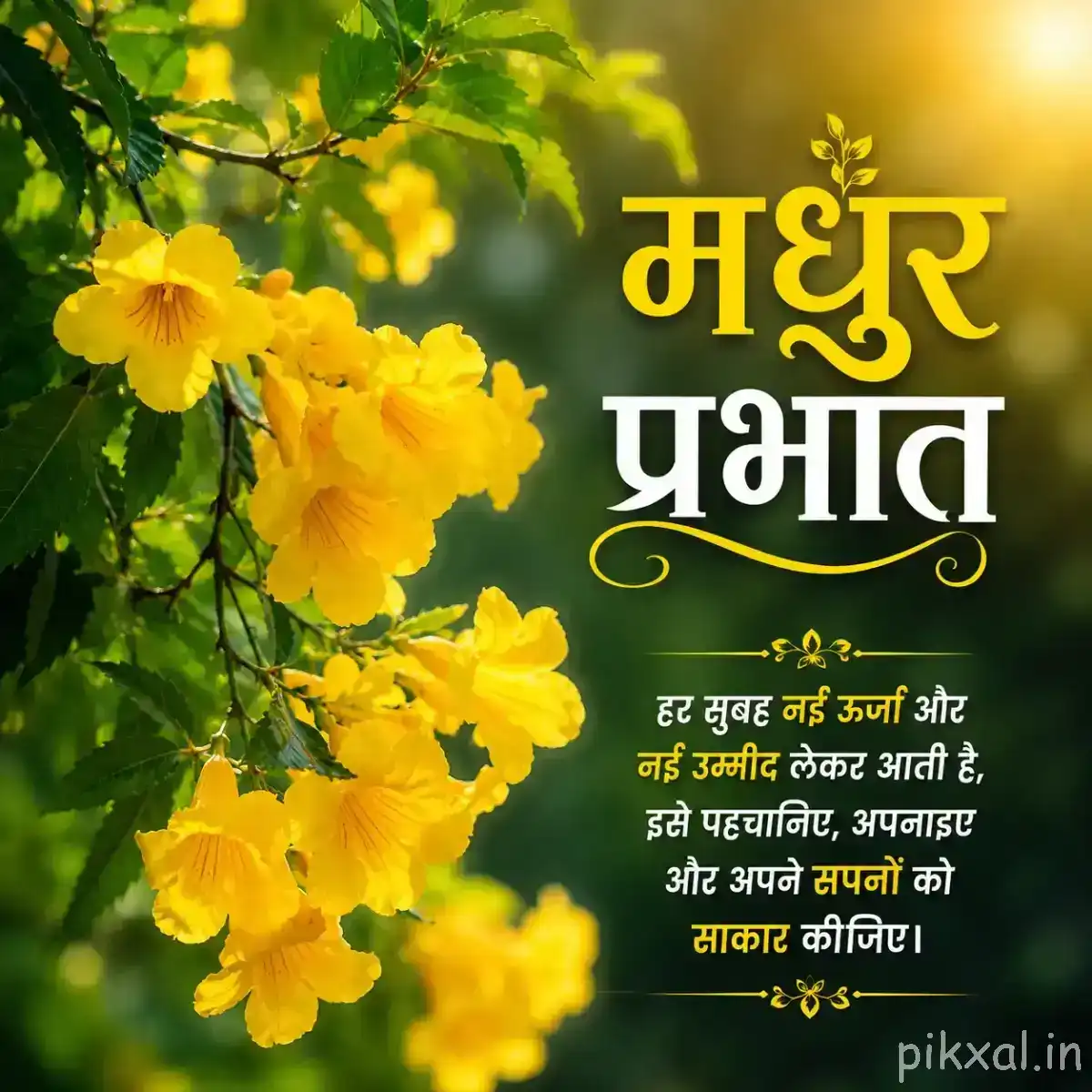 Cluster of small yellow flowers with green foliage and warm sunlight with a Hindi Good Morning greeting