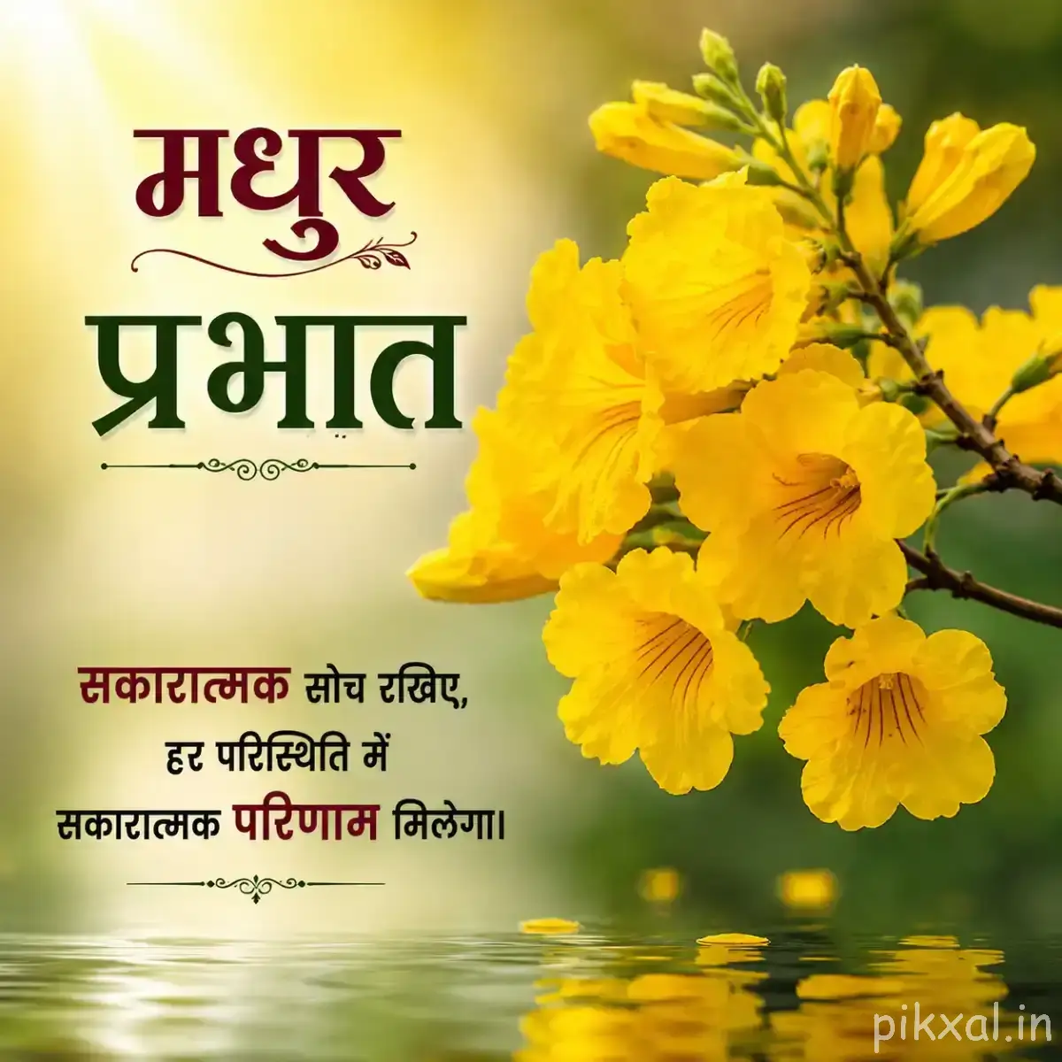 Cluster of yellow flowers on a leafy branch above water with a Hindi morning greeting