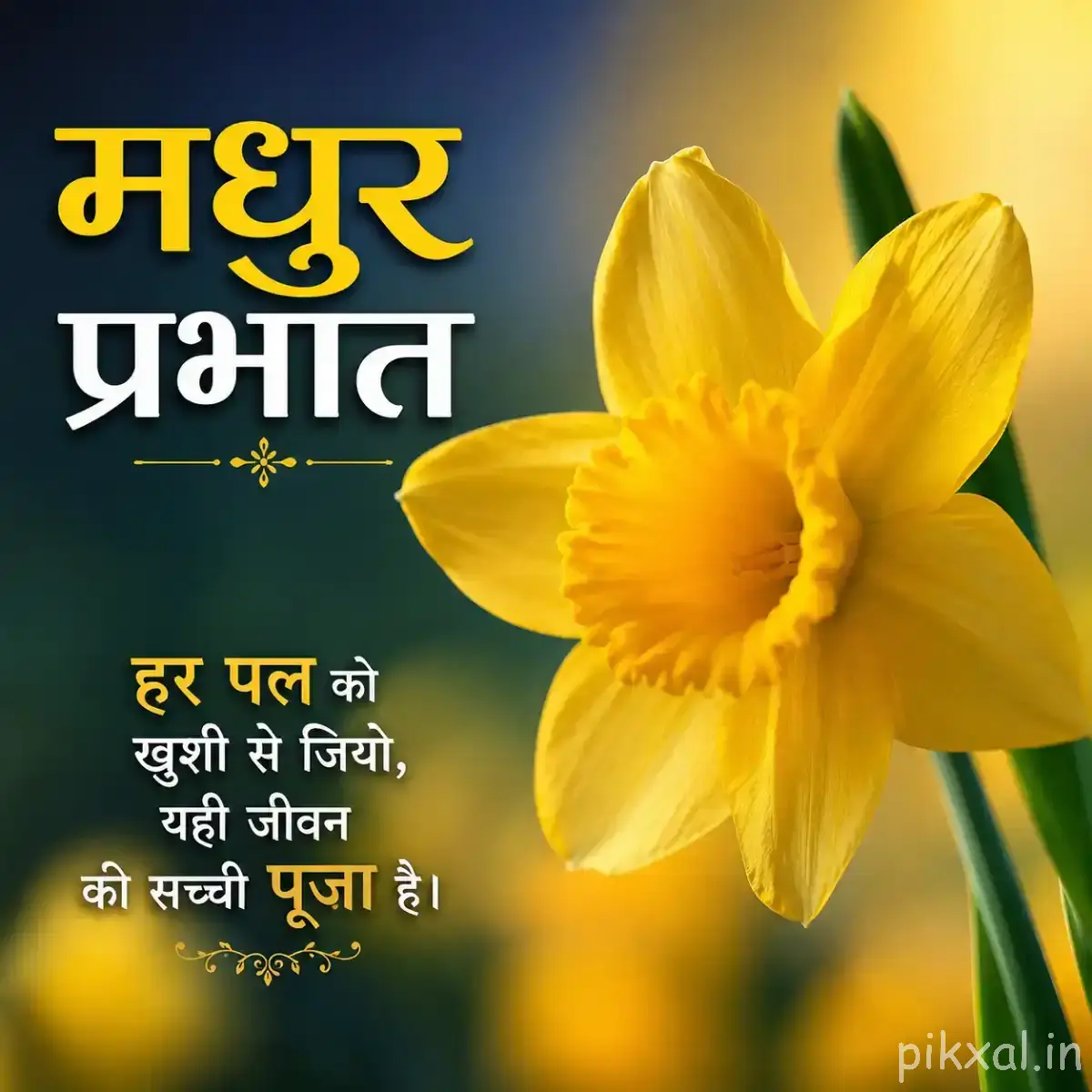 Large yellow flower with broad overlapping petals and green leaves with a Hindi Good Morning wish