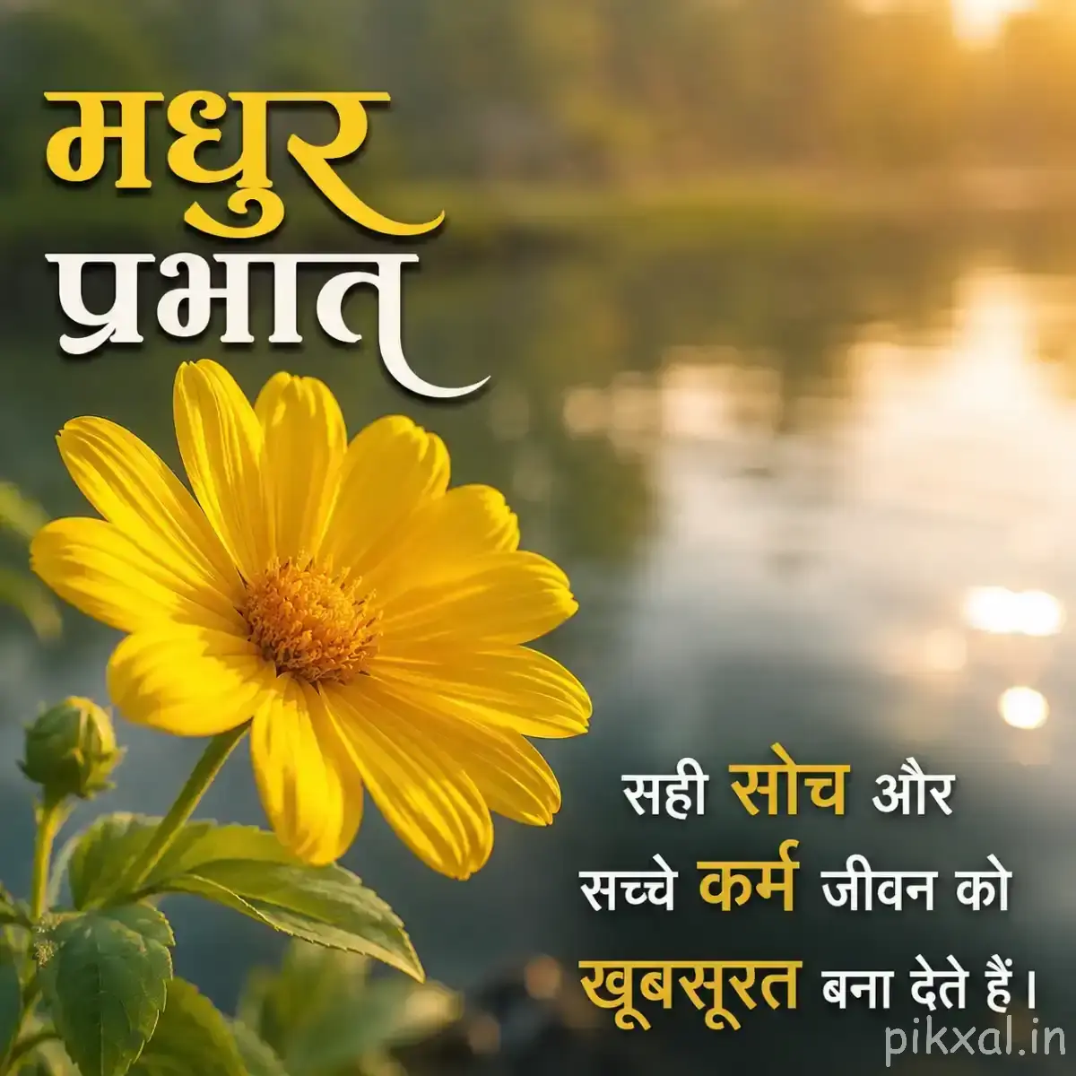 Yellow flower with a dark center beside calm water and warm sunlight with a Hindi morning greeting