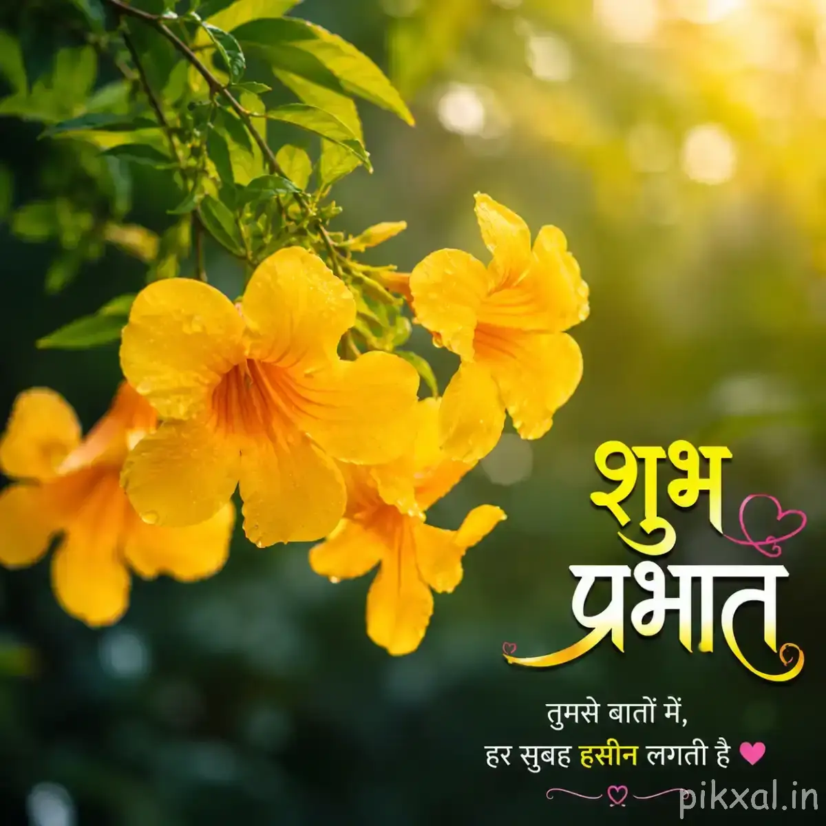Cluster of orange-yellow flowers among green foliage with a Hindi morning greeting