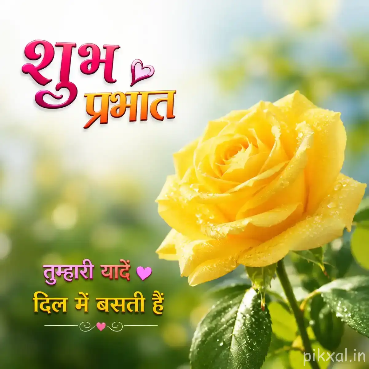 Large yellow layered flower with green leaves and a Hindi morning wish against a softly blurred background
