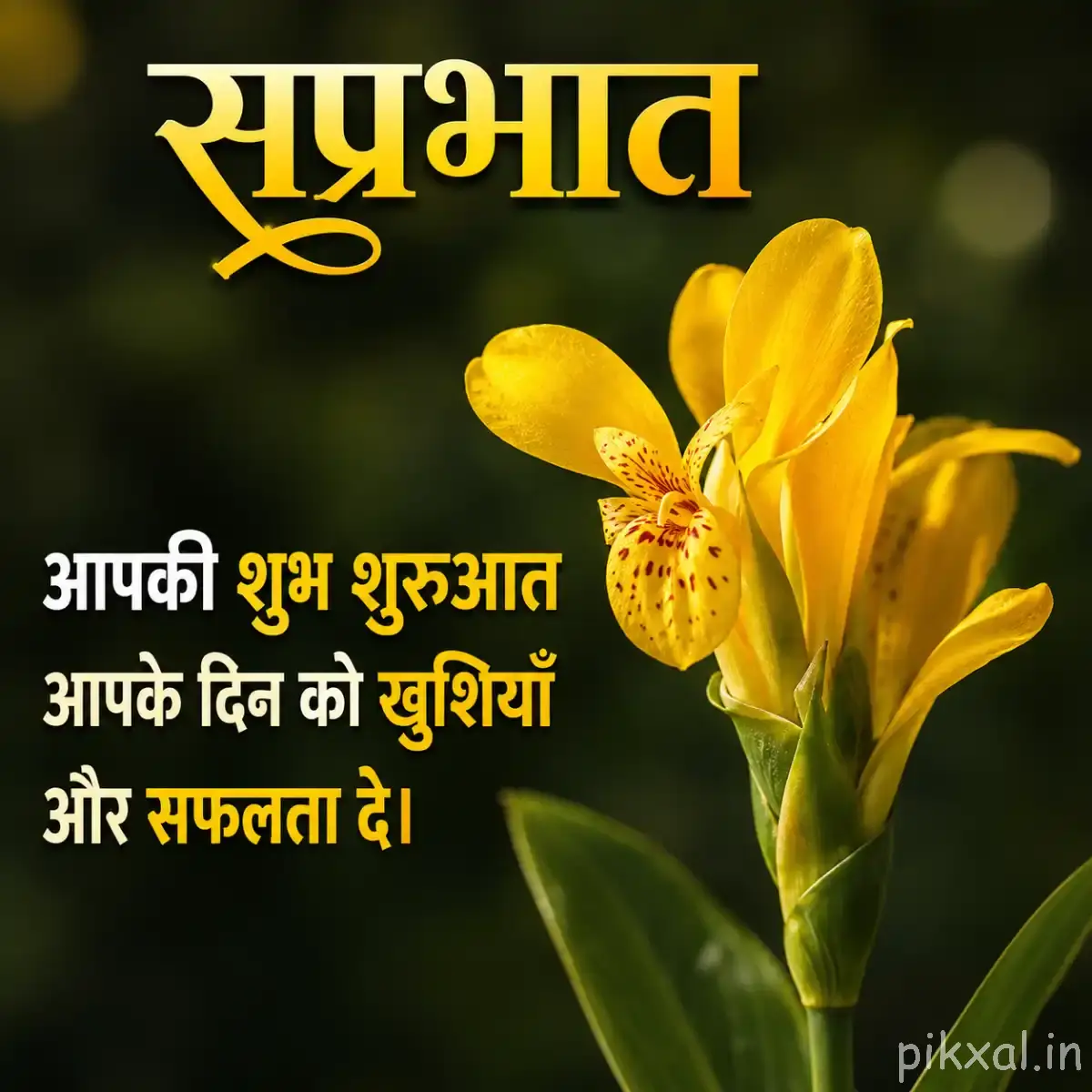 Several small yellow flowers on leafy stems with a Hindi Good Morning message