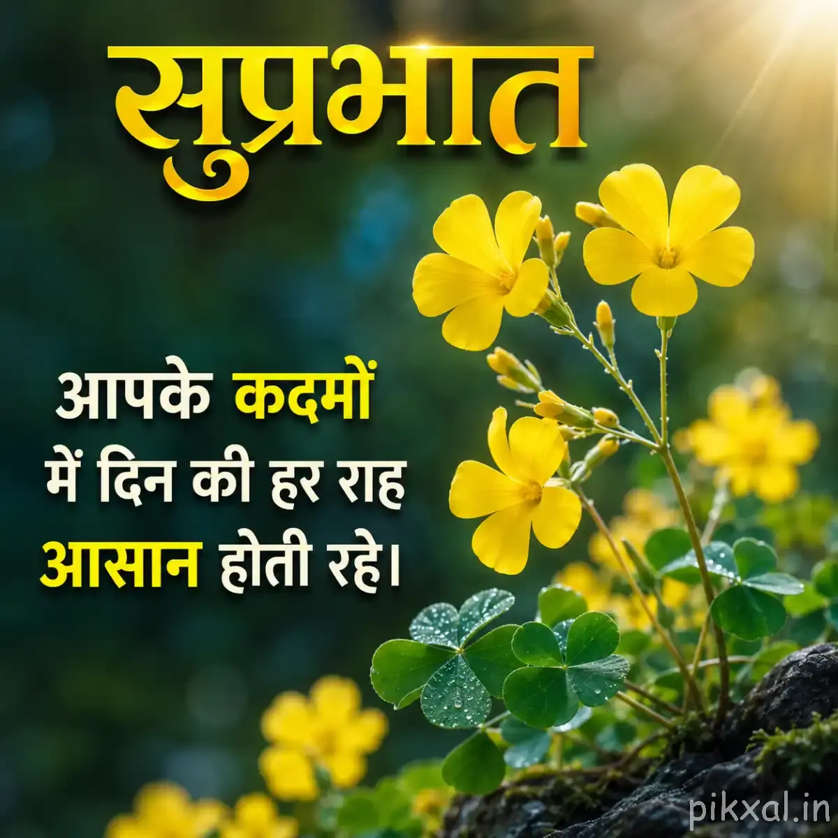 Yellow flower with dark maroon markings in the center against a softly blurred garden background