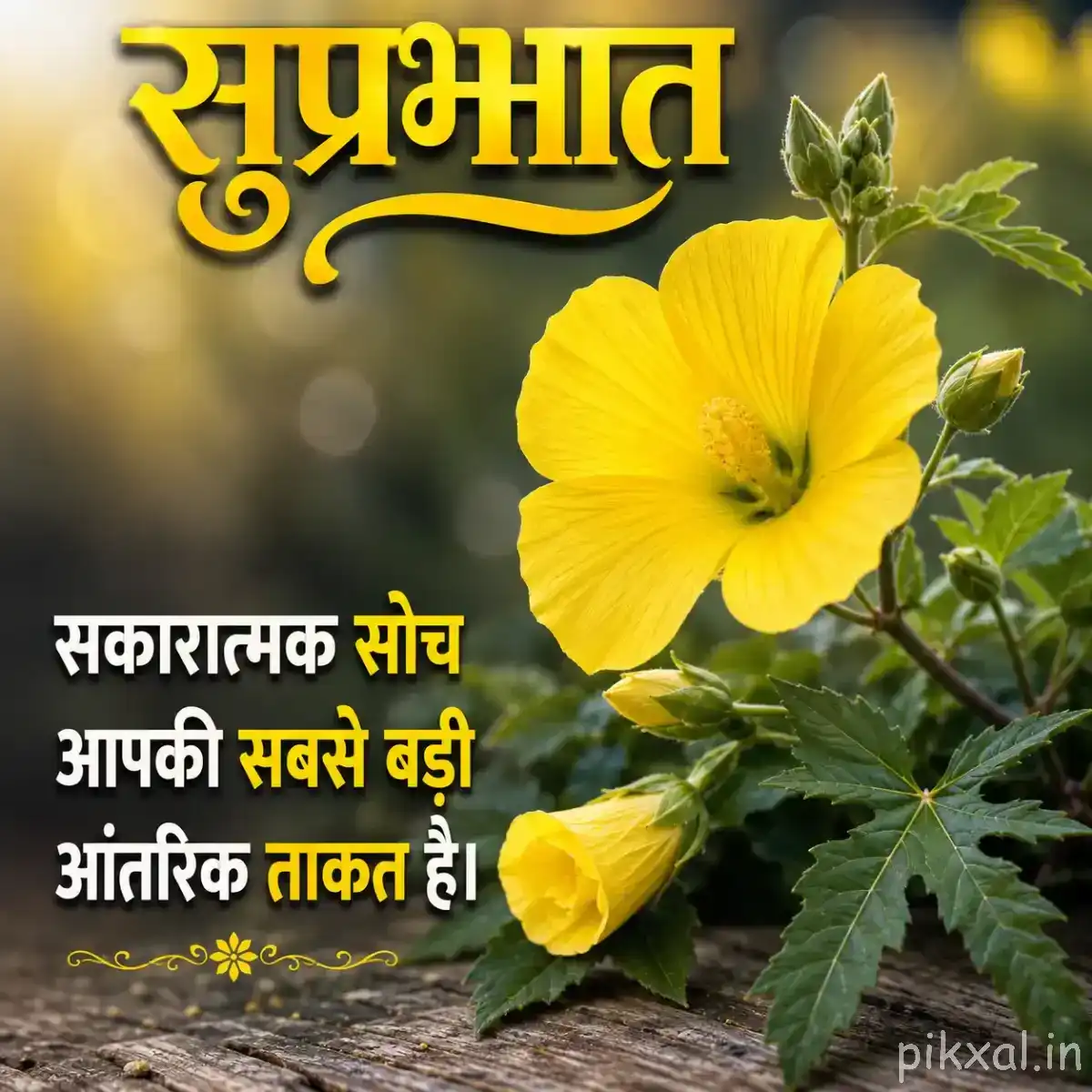 Single pale yellow flower with a dark center surrounded by green leaves and a Hindi morning wish