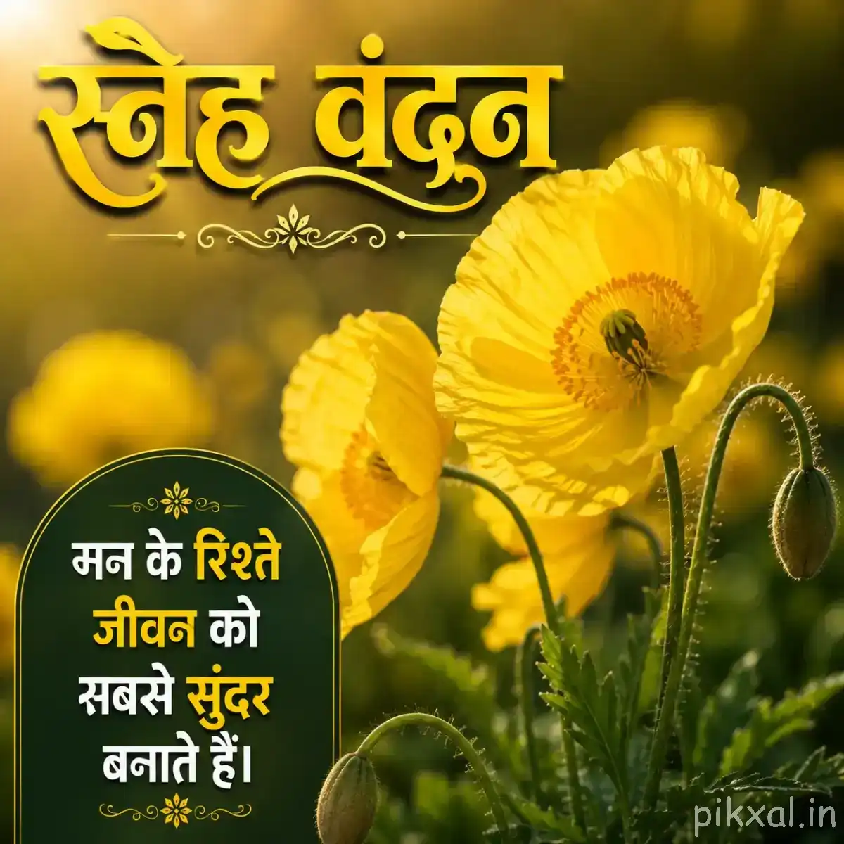 Open yellow flower with a dark center and unopened buds among green foliage with a Hindi morning greeting