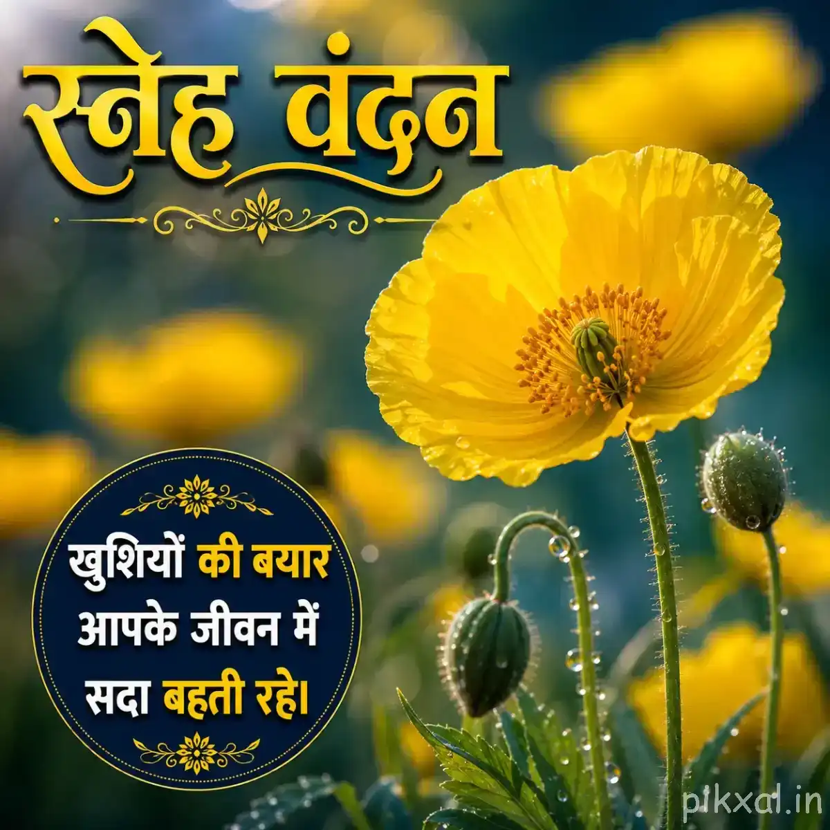 Yellow flower with dark centers and unopened buds against a softly blurred green background