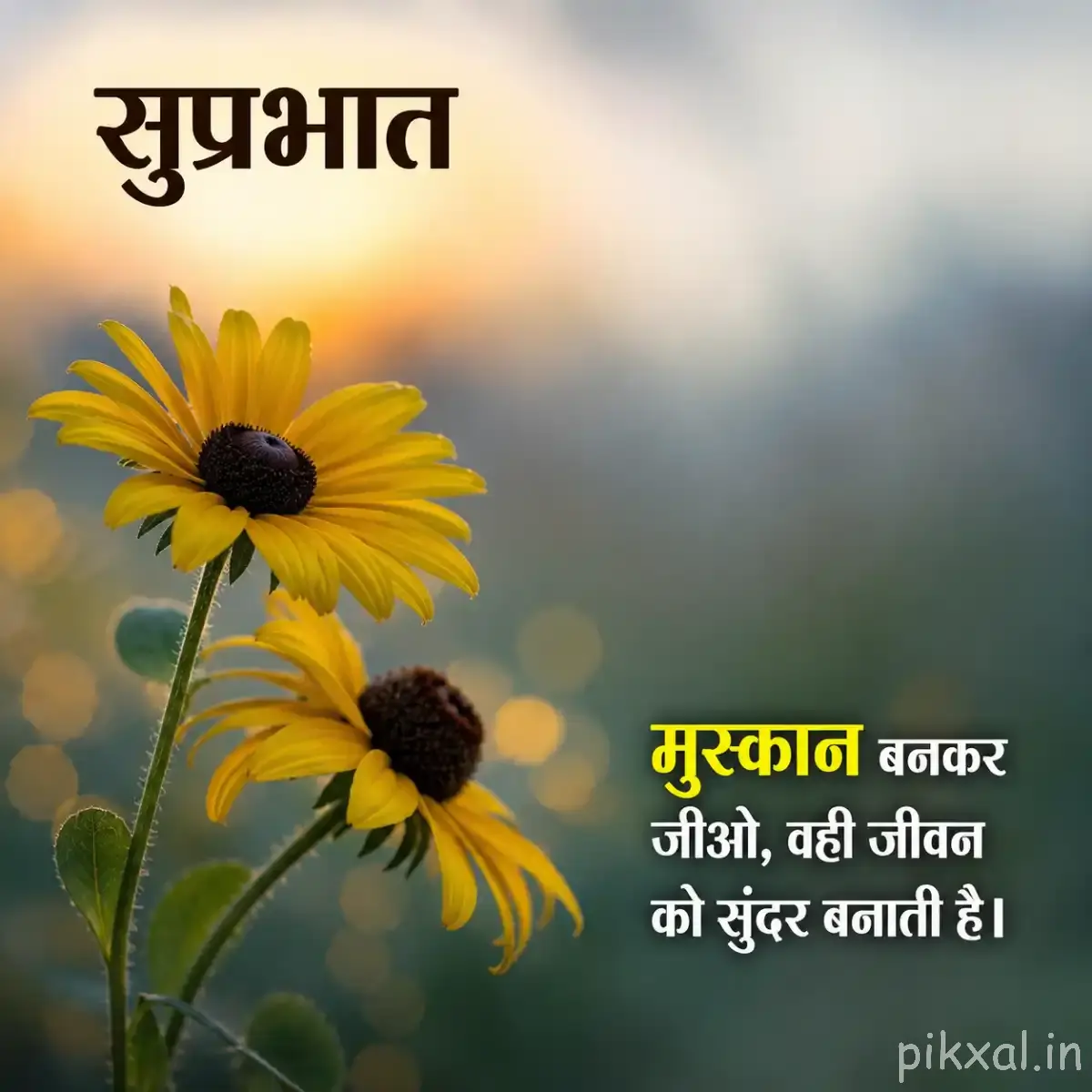 Two yellow flowers with dark centers on slender stems against a pale blurred background