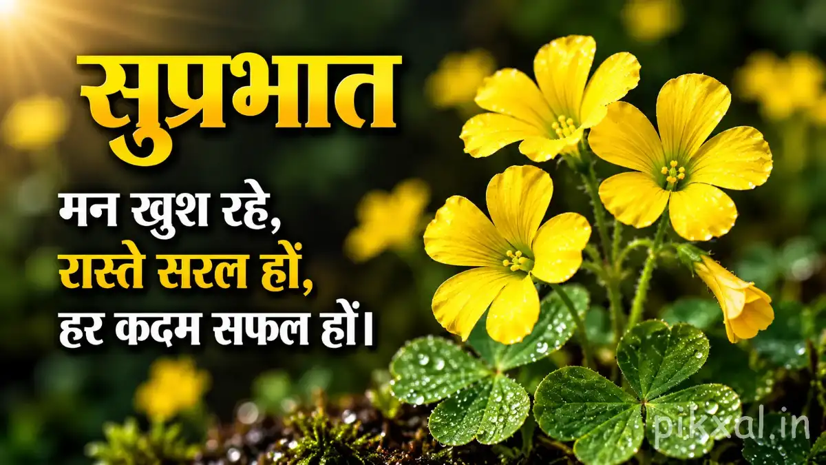Vibrant Yellow Flower Good Morning Images to Spark Happiness
